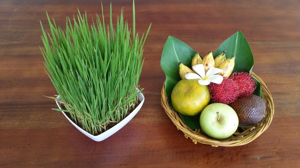 Palm Garden Bali Ξενοδοχείο Νούσα Ντούα Εξωτερικό φωτογραφία